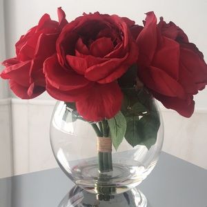 Meet your Posher, Dachy